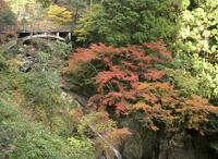 中津渓谷県立自然公園