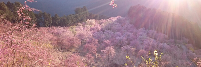 高見の郷