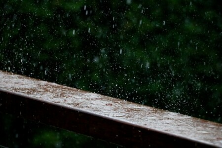 雨
